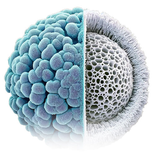 Наукові публікації Juvelook & Lenisna